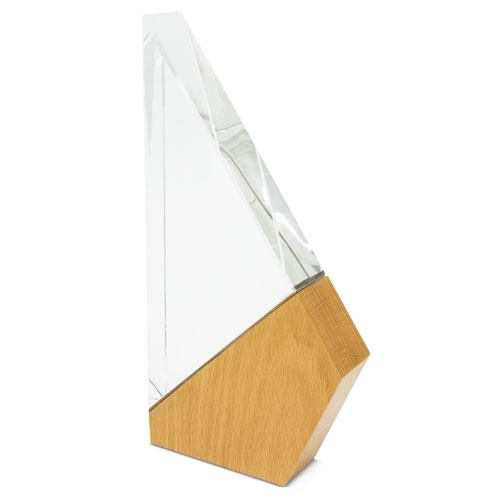 Immagine TROFEO MODELLO 