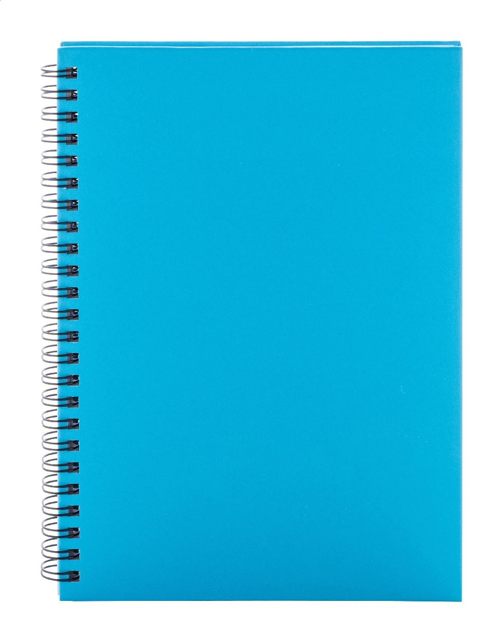 Immagine Strobus A5 Quaderno