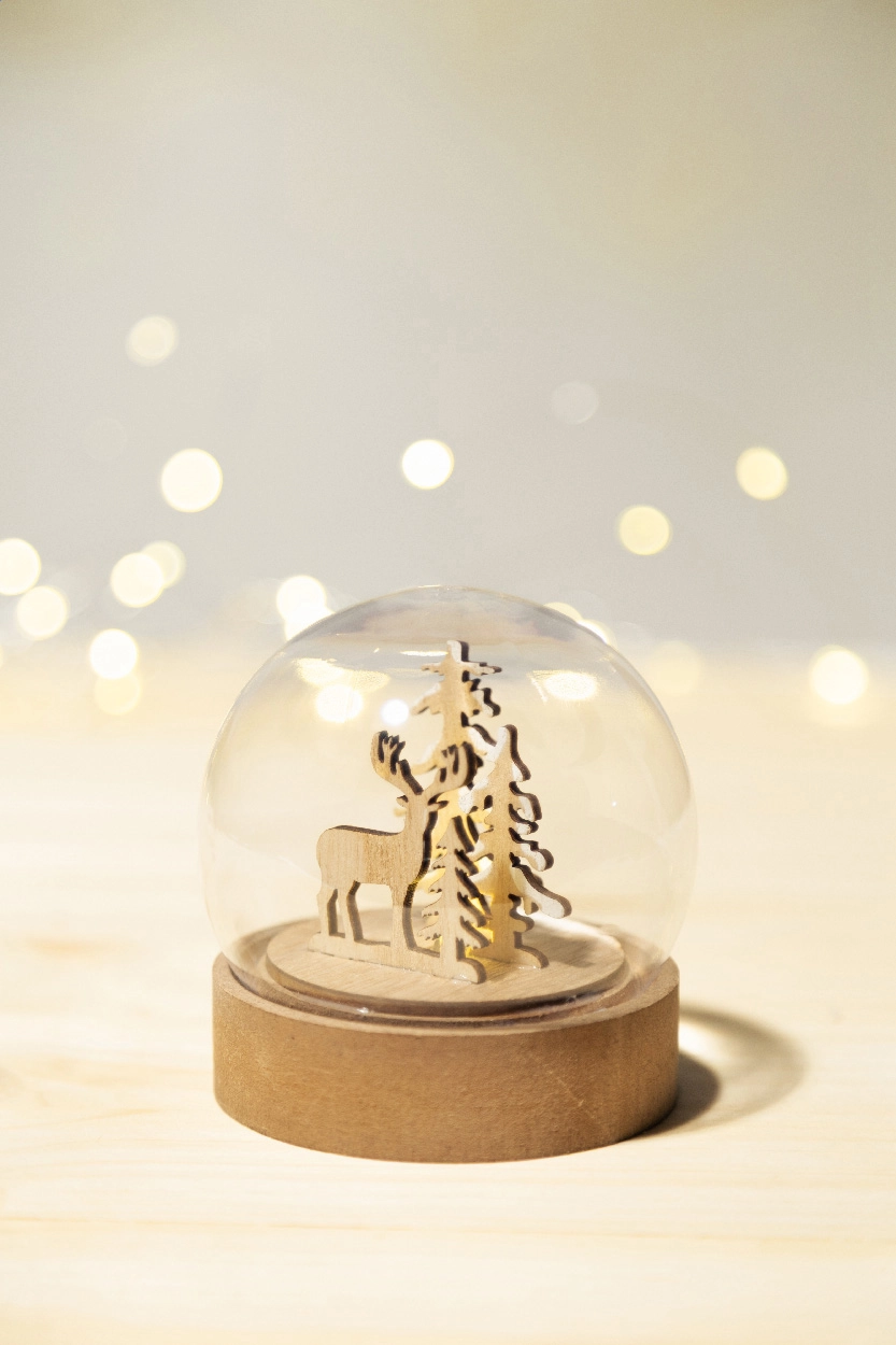 Immagine Sirius Decorazione natalizia