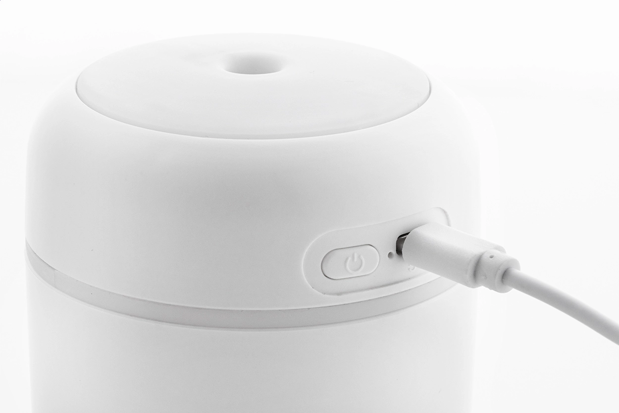 Immagine Rapor Umidificatore in RABS