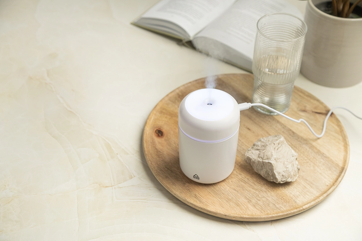 Immagine Rapor Umidificatore in RABS