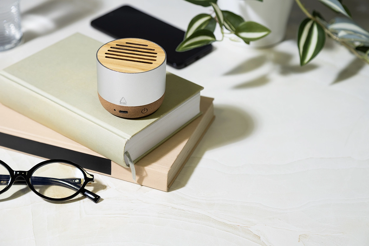 Immagine Corbofi Cassa wireless