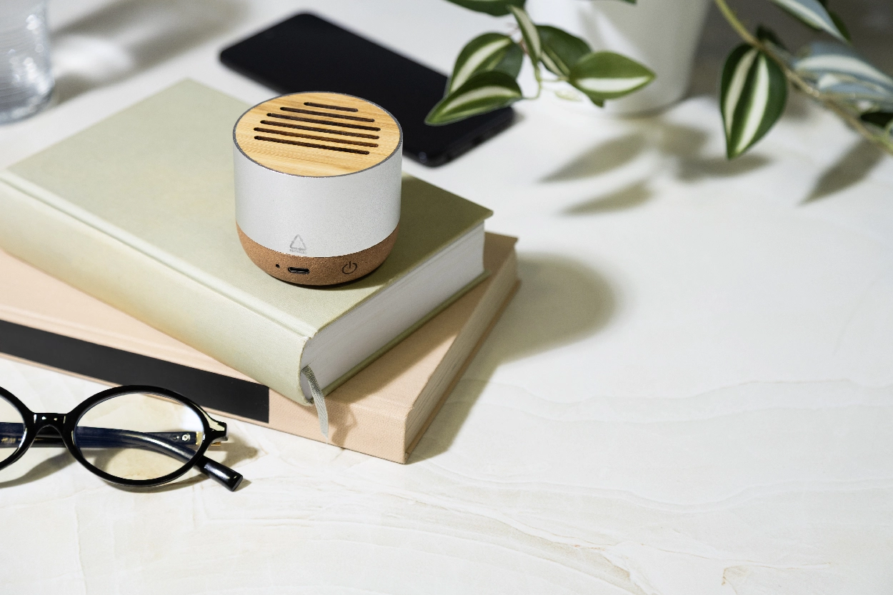 Immagine Corbofi Cassa wireless