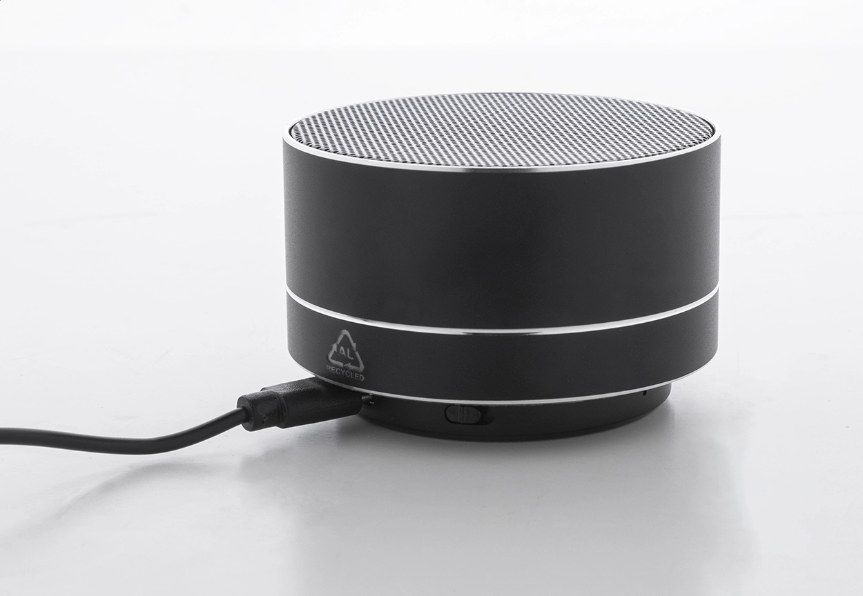 Immagine Ramesh Cassa wireless 