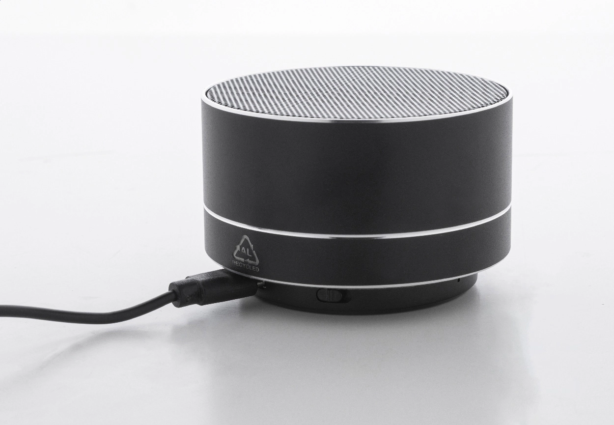 Immagine Ramesh Cassa wireless 