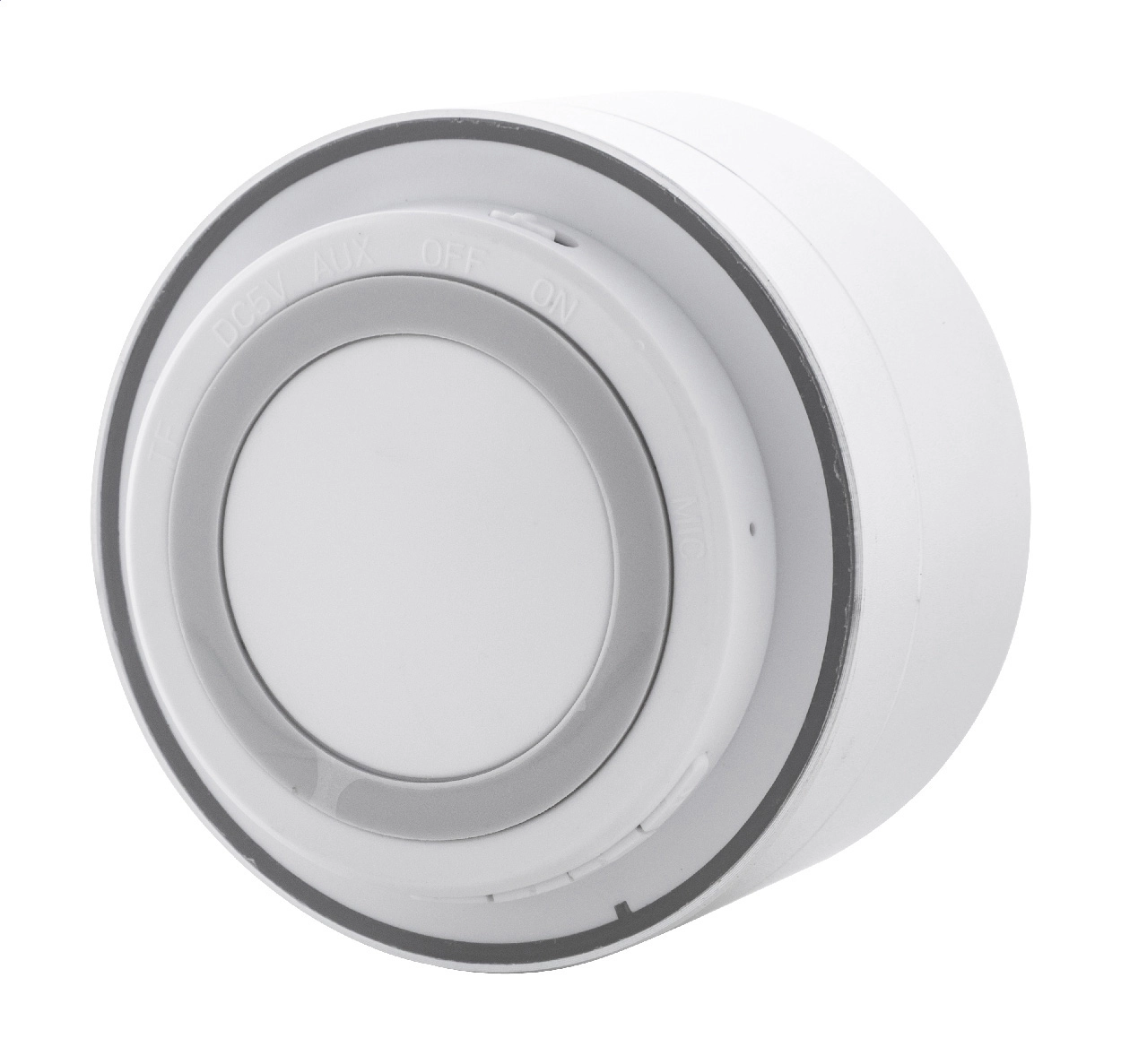 Immagine Ramesh Cassa wireless 