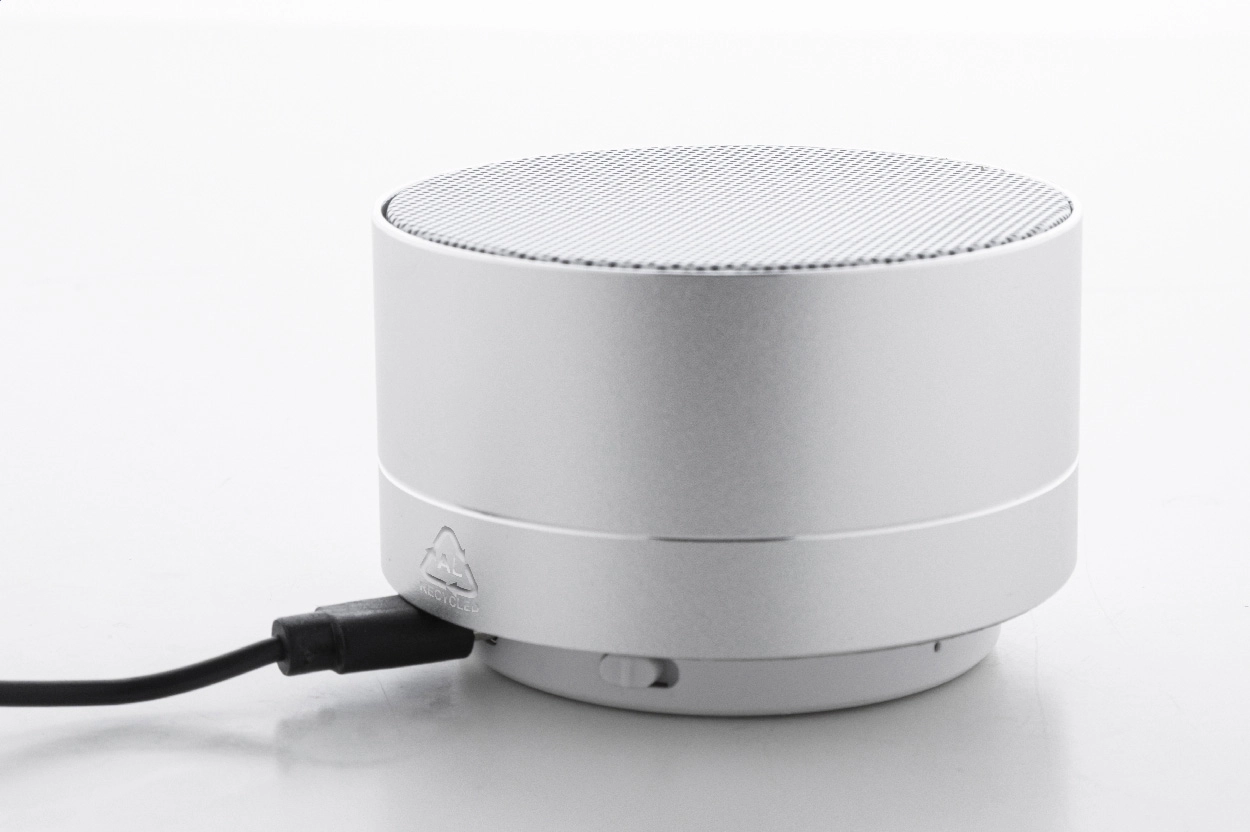 Immagine Ramesh Cassa wireless 