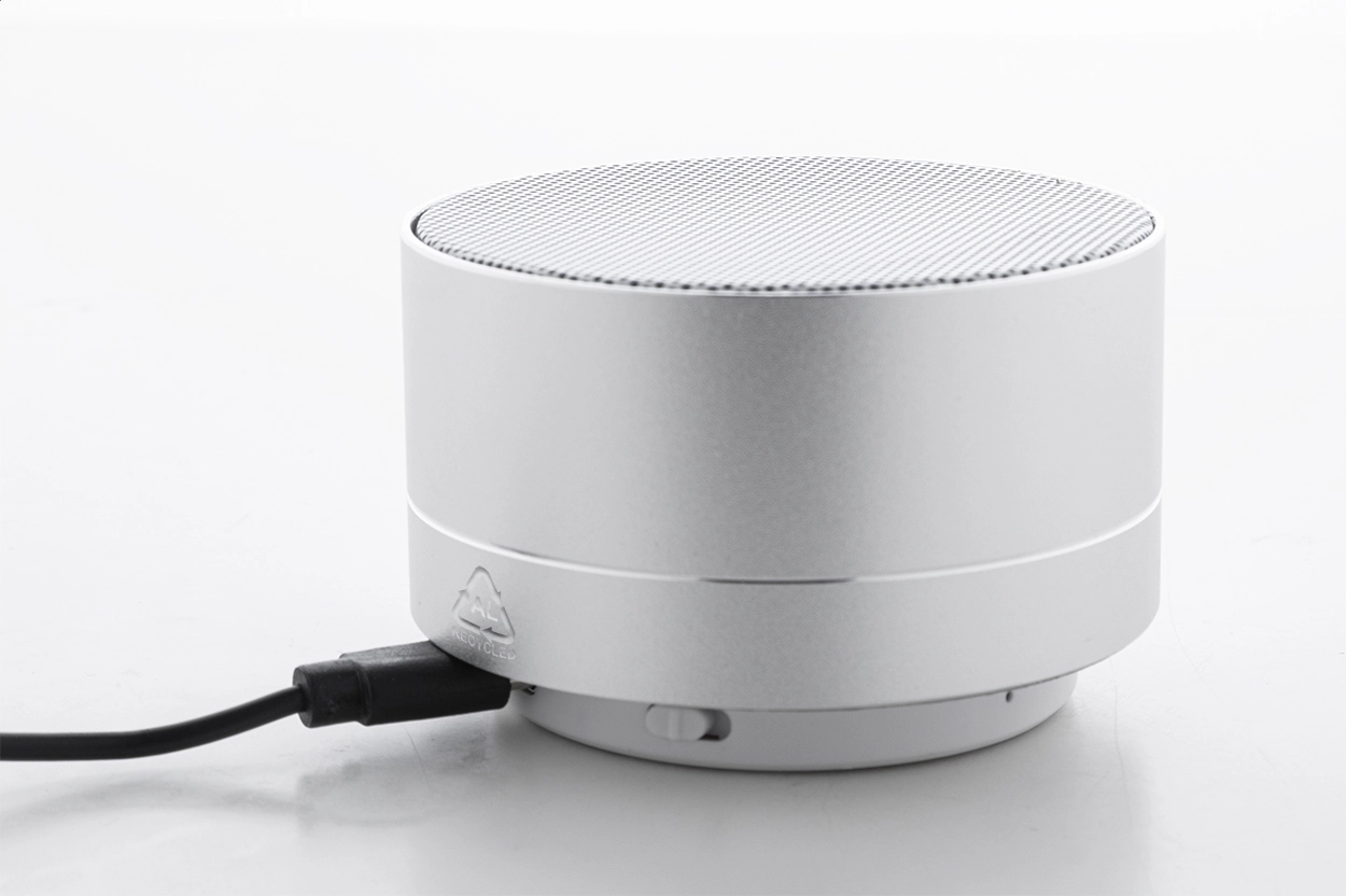 Immagine Ramesh Cassa wireless 