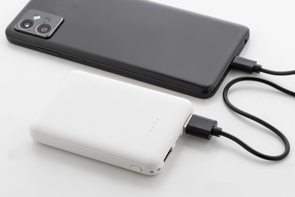Immagine Rabobank Slim Power bank in RABS