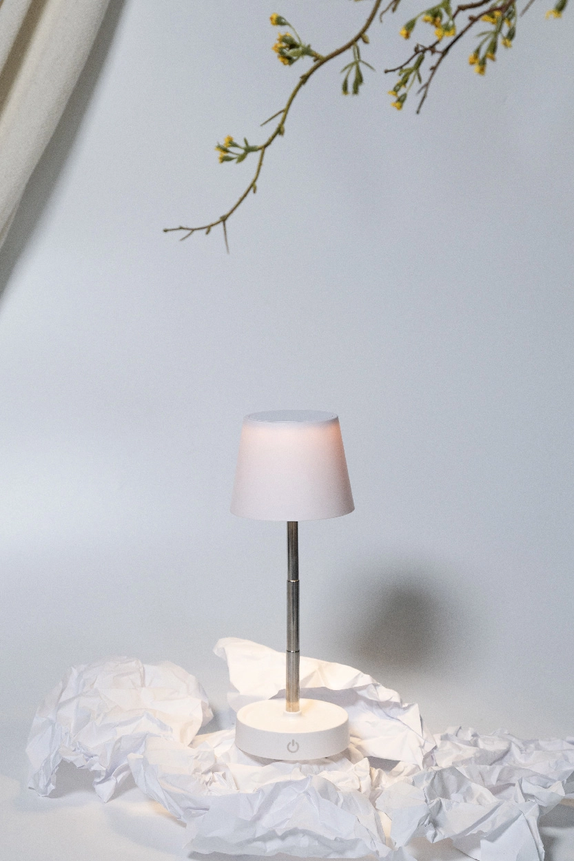 Immagine Cosmopolitan Lampada da tavolo in RABS