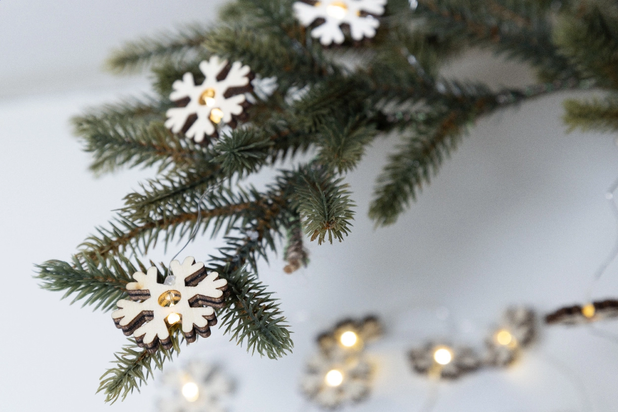 Immagine Polaris Filo di luci natalizie