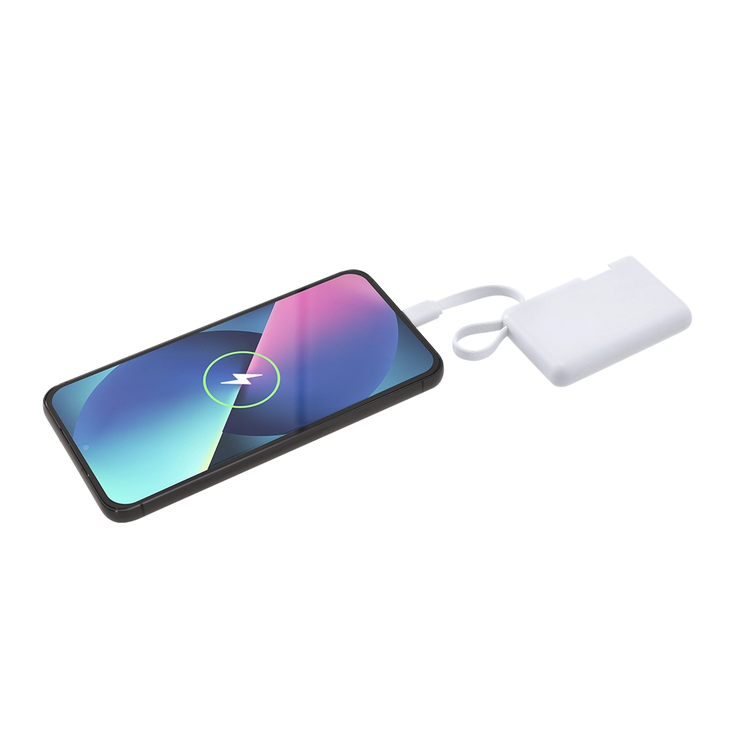Immagine Power Bank Brandin