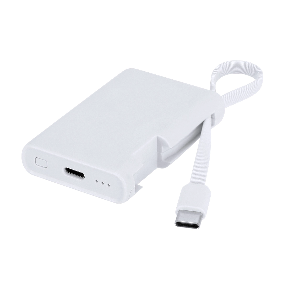 Immagine Power Bank Brandin