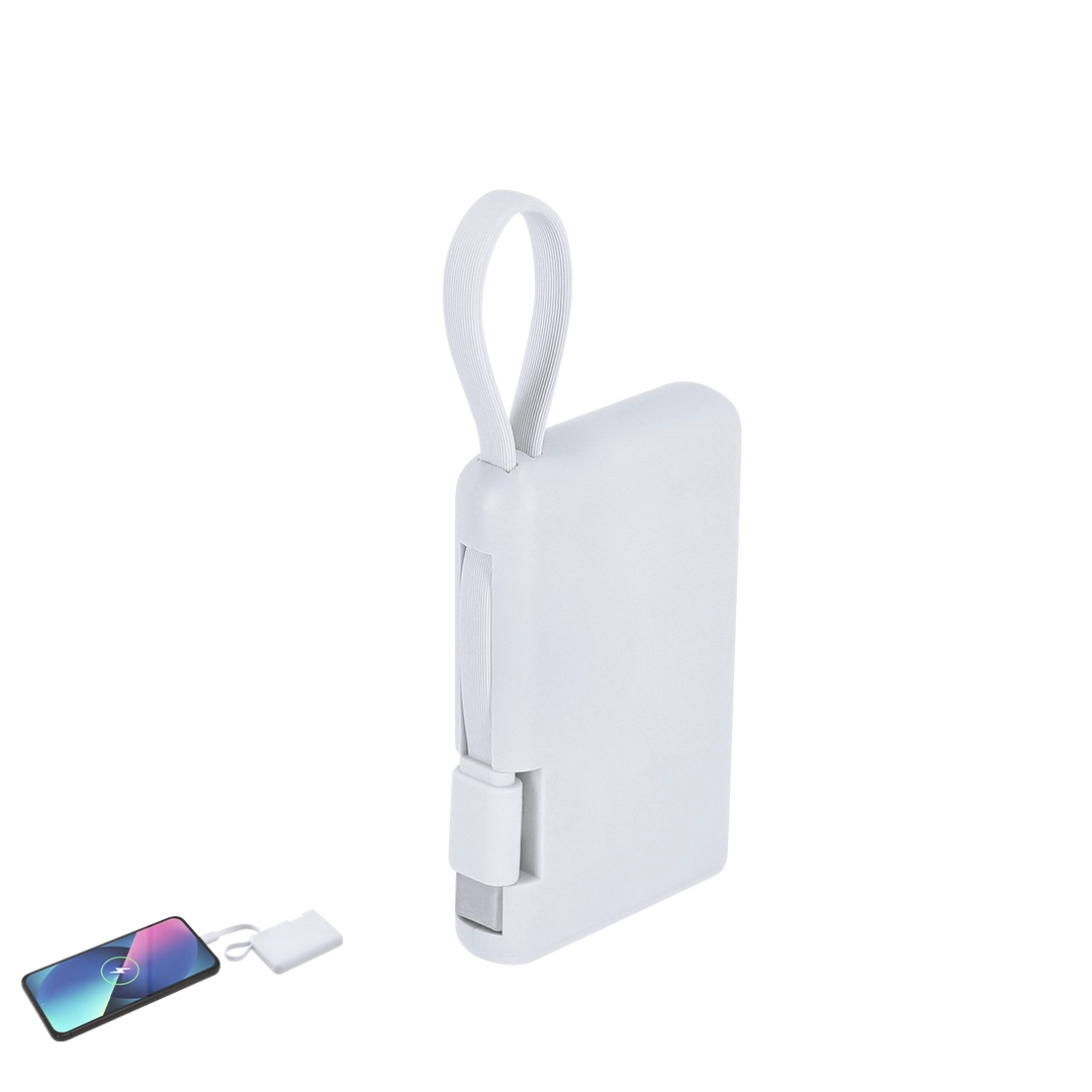 Immagine Power Bank Brandin