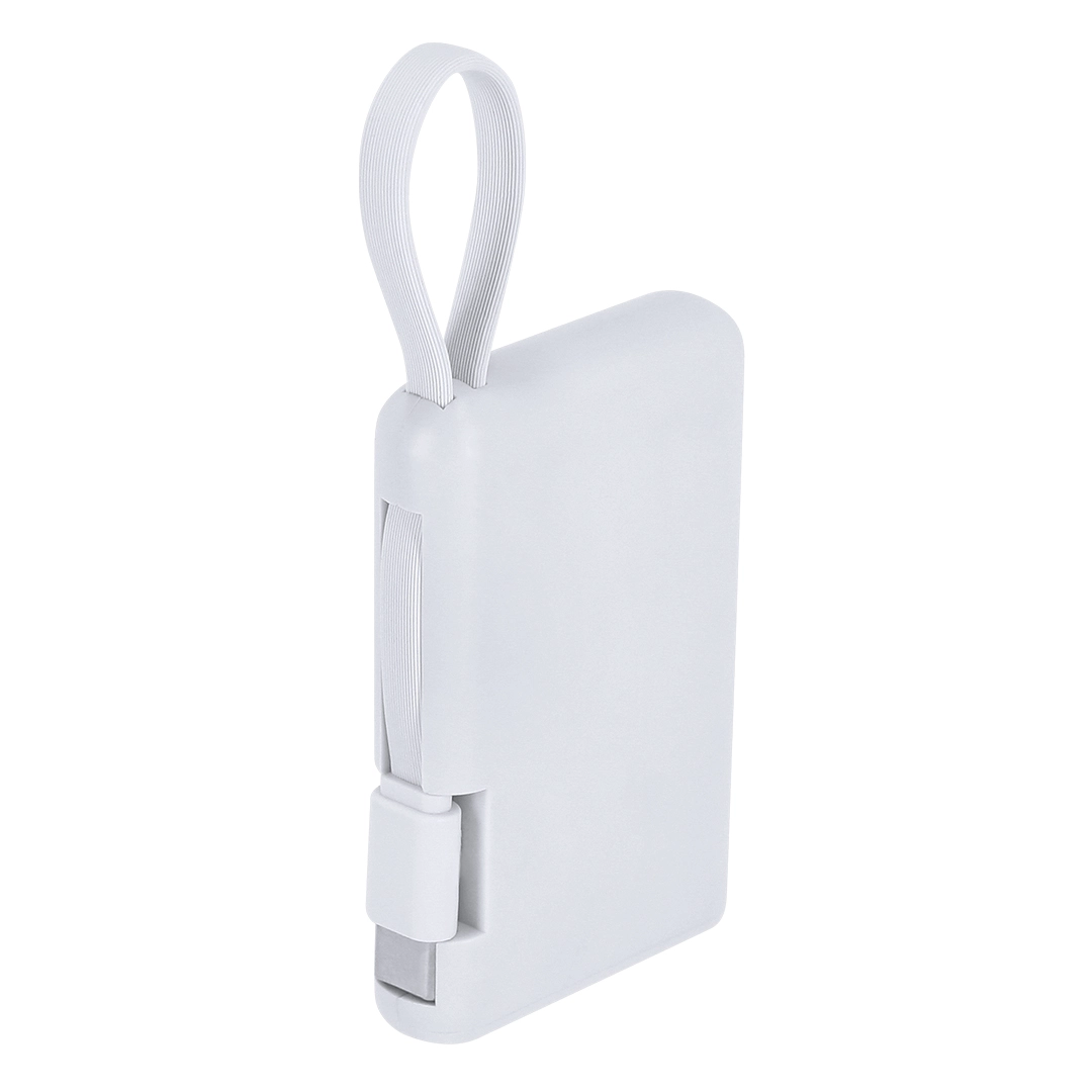 Immagine Power Bank Brandin