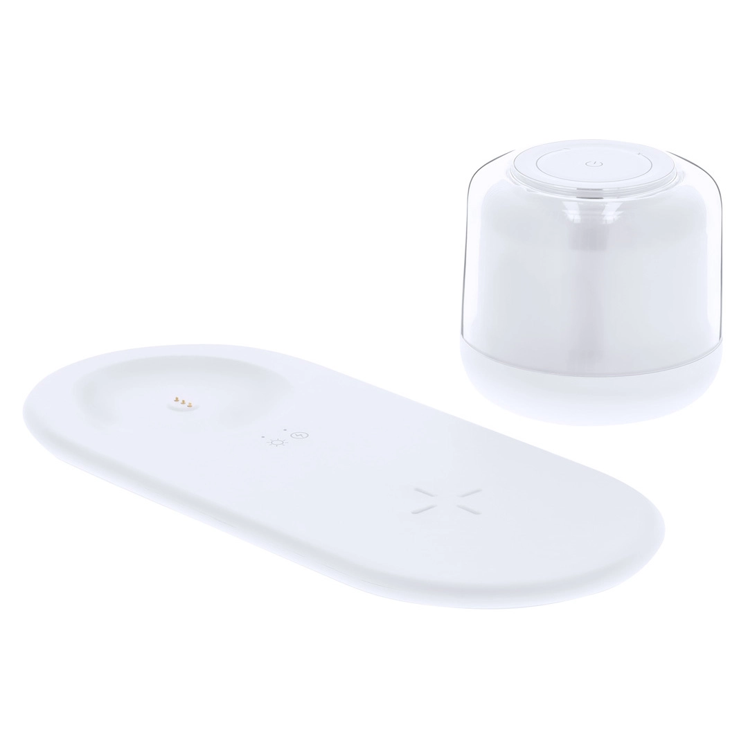 Immagine Lampada Caricatore Reginal