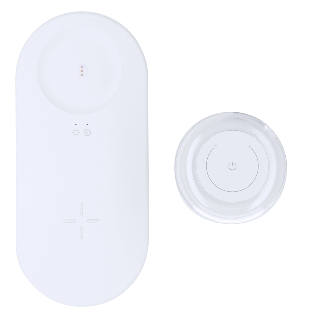 Immagine Lampada Caricatore Reginal