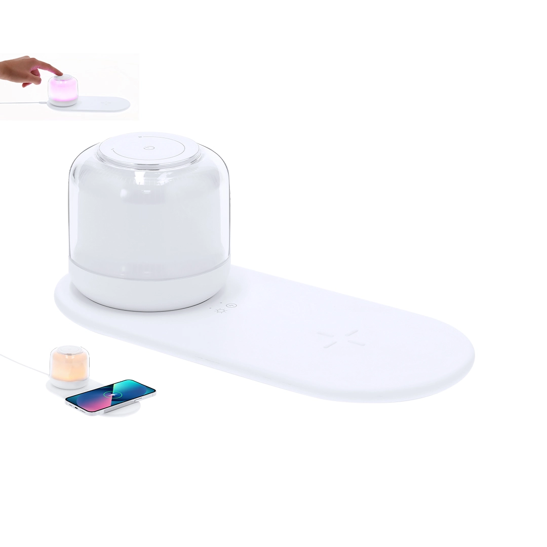 Immagine Lampada Caricatore Reginal