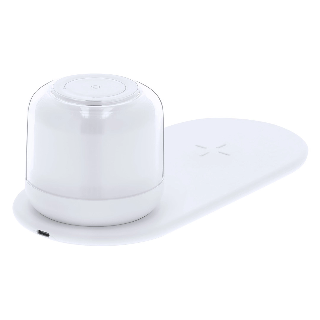 Immagine Lampada Caricatore Reginal