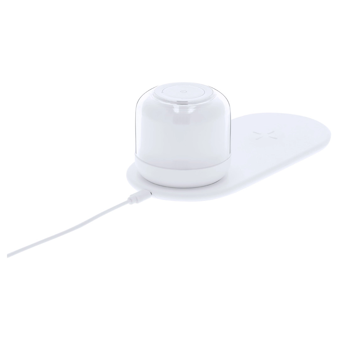 Immagine Lampada Caricatore Reginal