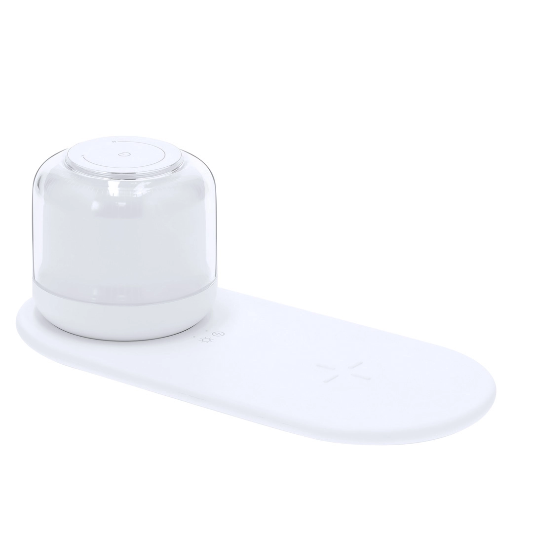 Immagine Lampada Caricatore Reginal