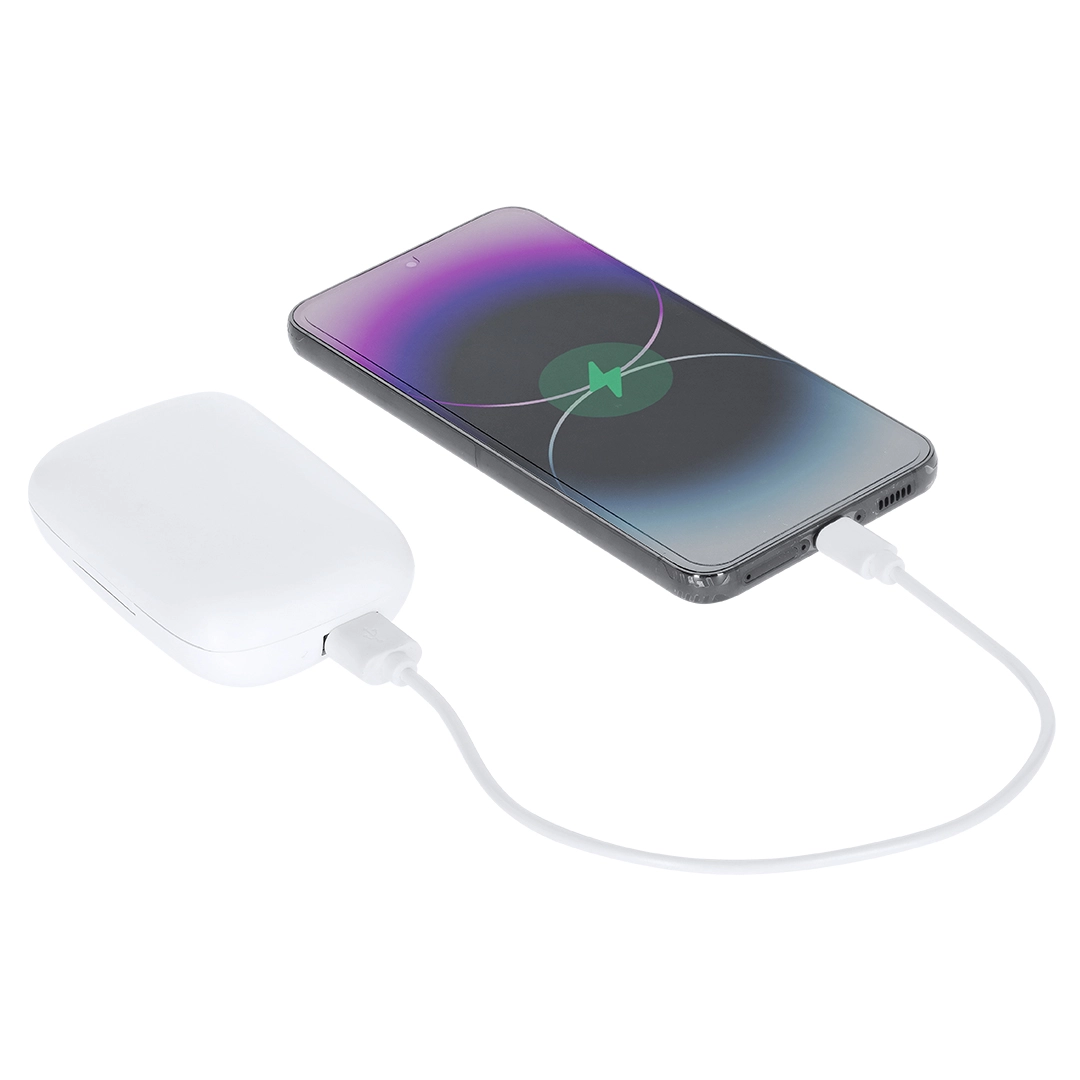 Immagine Auricolari Power Bank Haxel