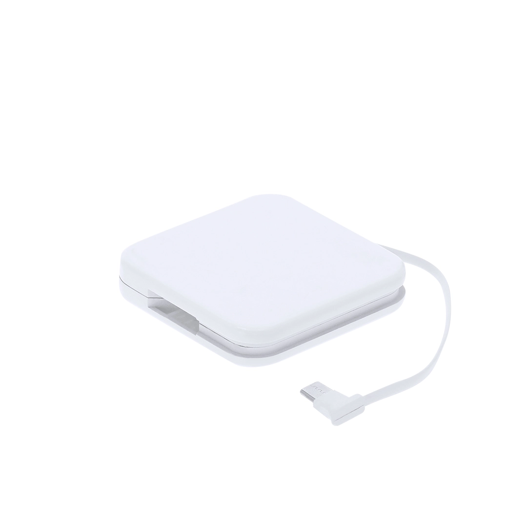 Immagine Power Bank Kingel