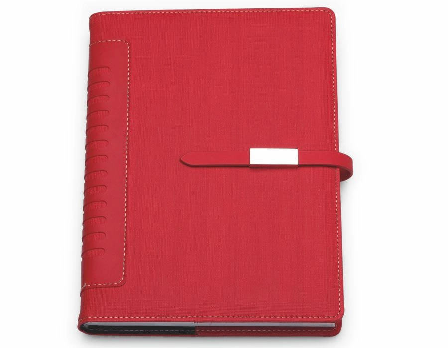 Immagine C0373 BLERA - Copertina Agenda Giornaliera 17 x 24