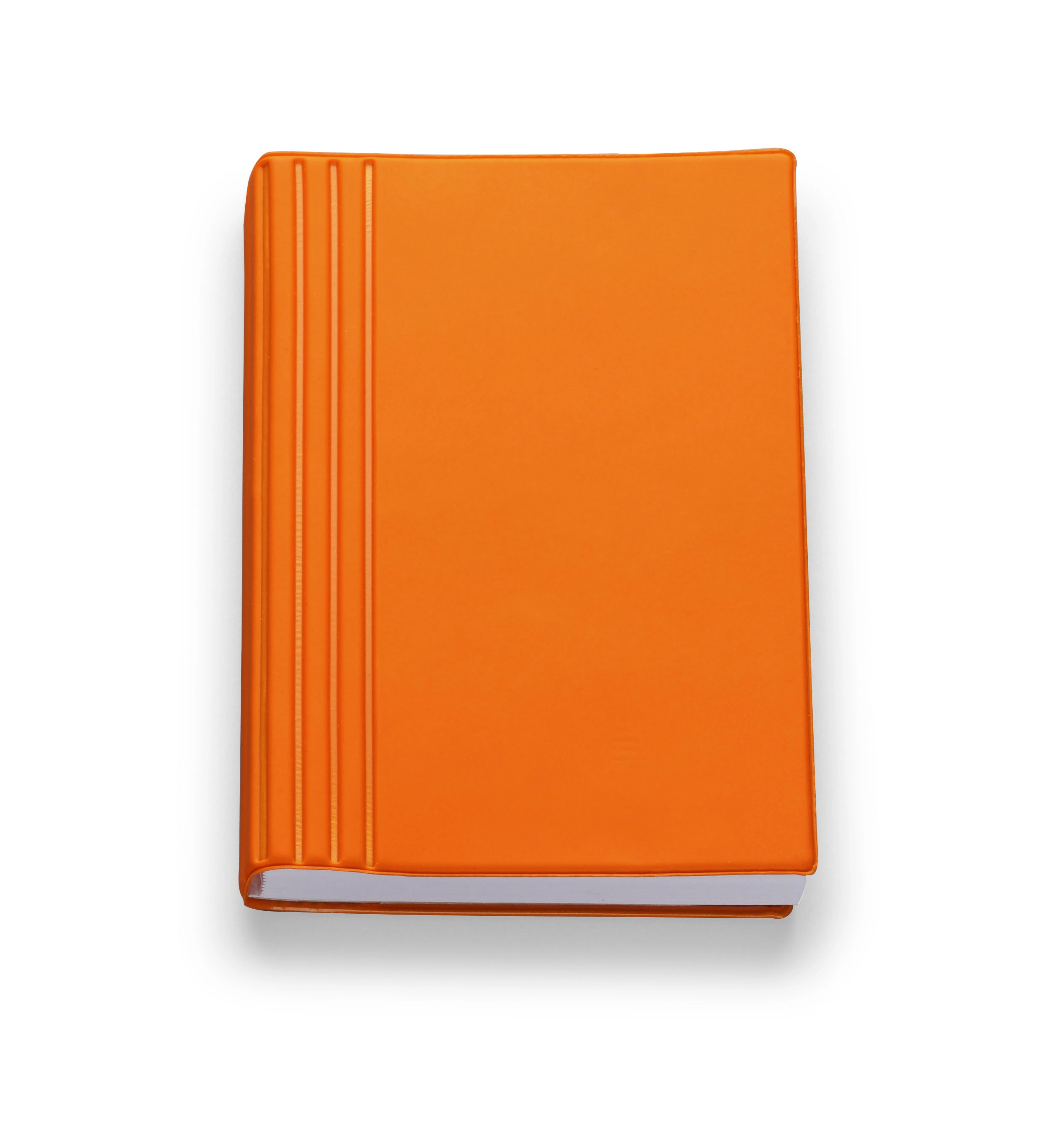 Immagine C0328 FLEXY TAM - Copertina Agenda Giornaliera 9 x 13