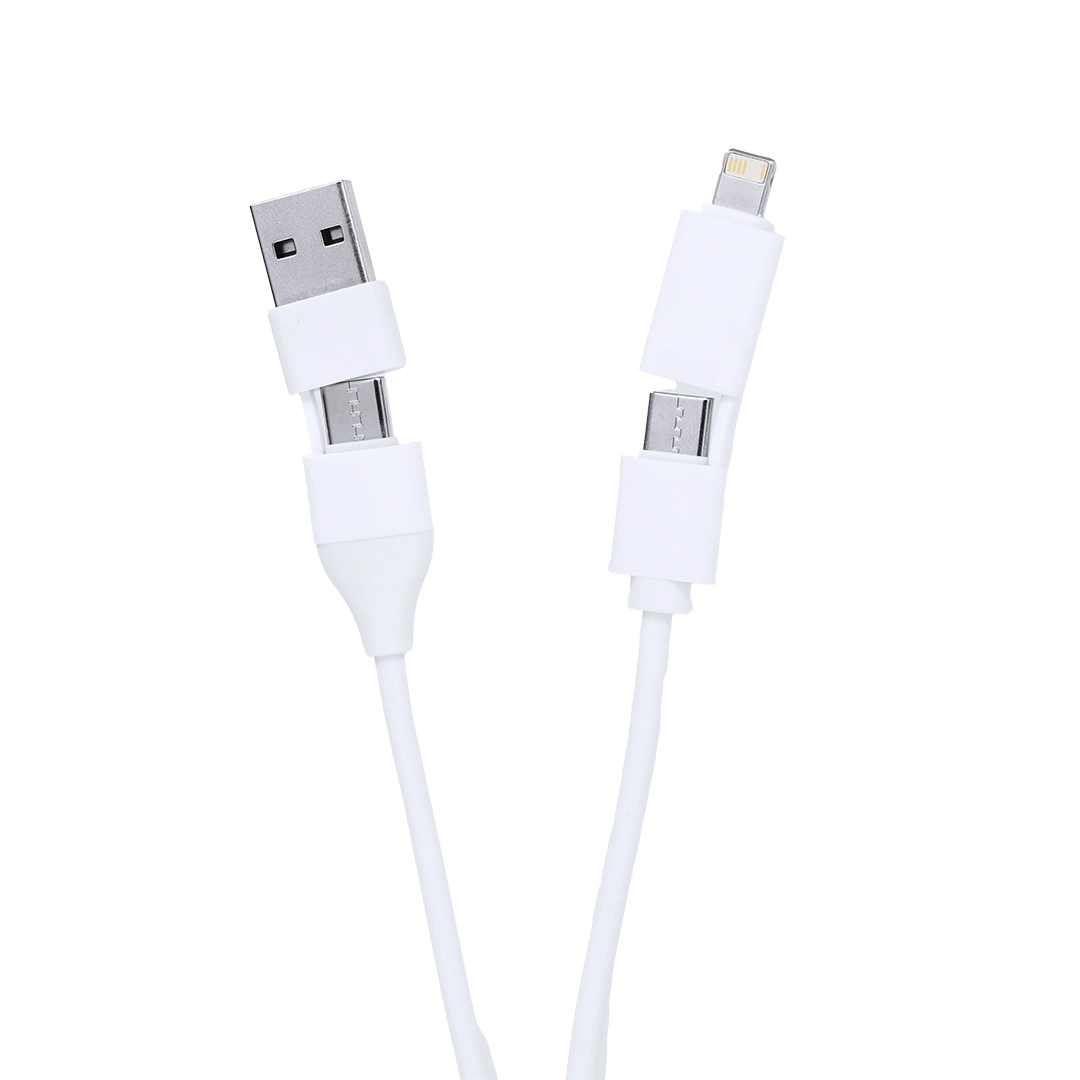 Immagine Porta USB Caricatore Leony