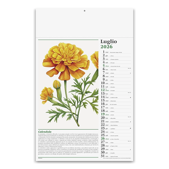 Immagine CALENDARIO ERBORISTERIA