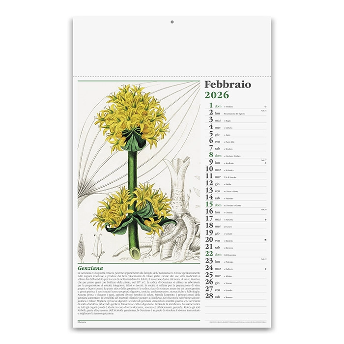 Immagine CALENDARIO ERBORISTERIA