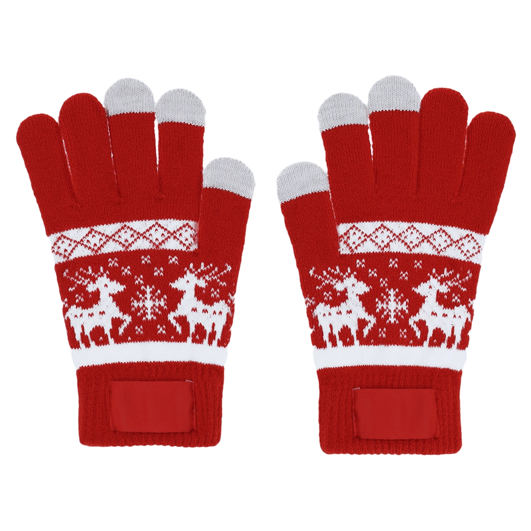 Immagine Guanti Touch Kainex