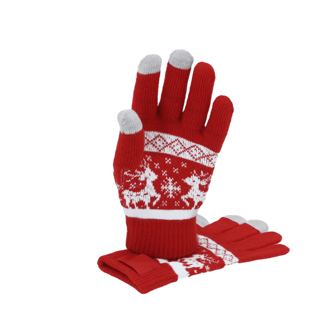 Immagine Guanti Touch Kainex