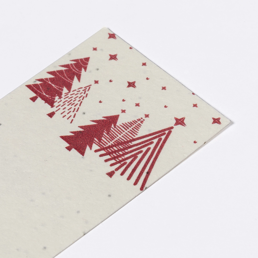 Immagine Segnapagine con Semi Baird