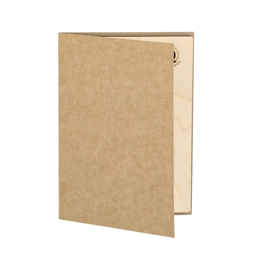 Immagine Cartolina Decorazione Natalizia Astrox