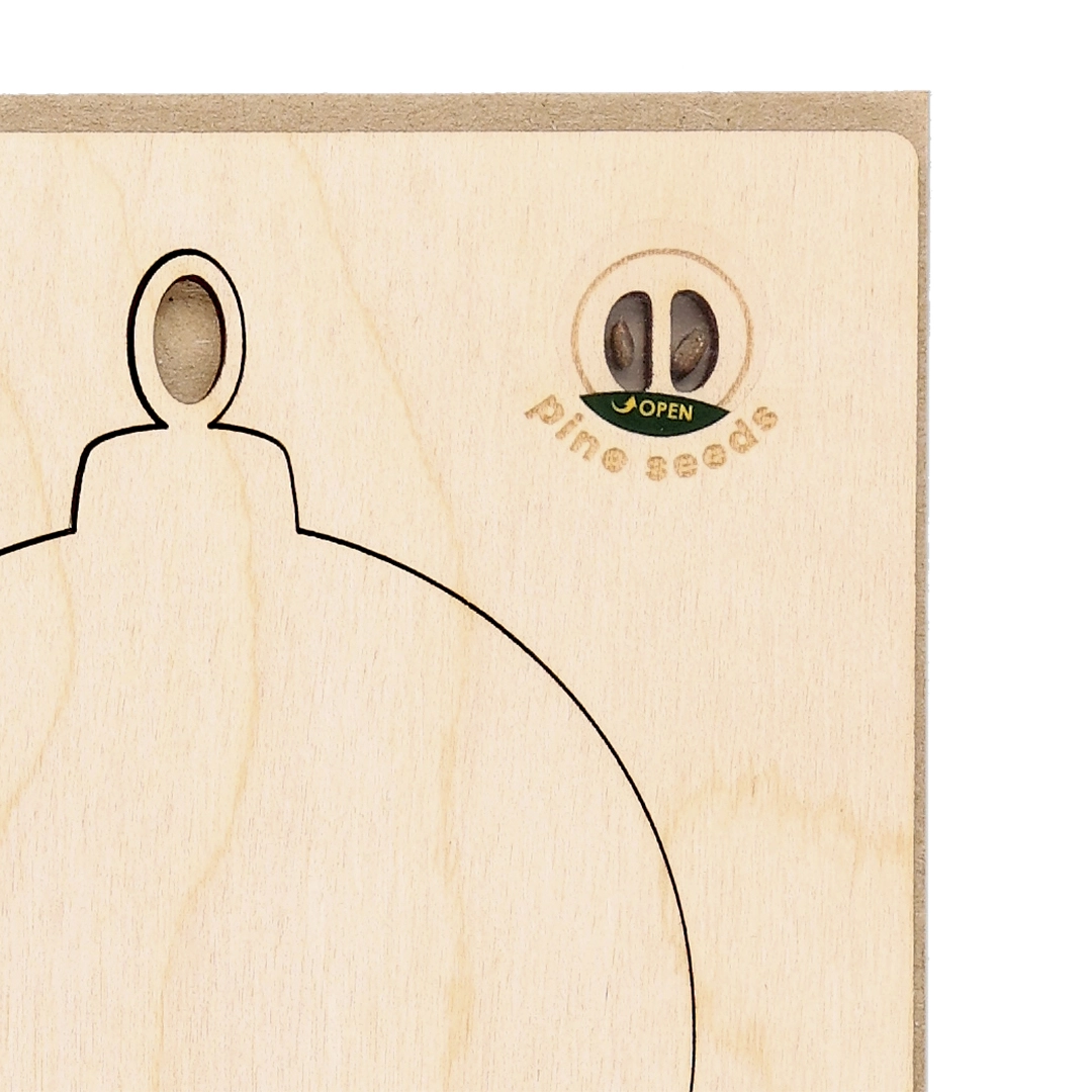 Immagine Cartolina Decorazione Natalizia Astrox