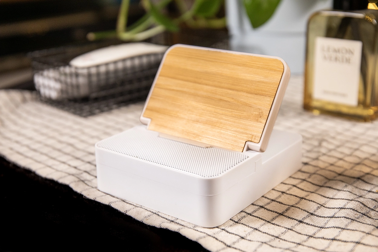 Immagine Hobofi Cassa wireless in RABS con caricatore