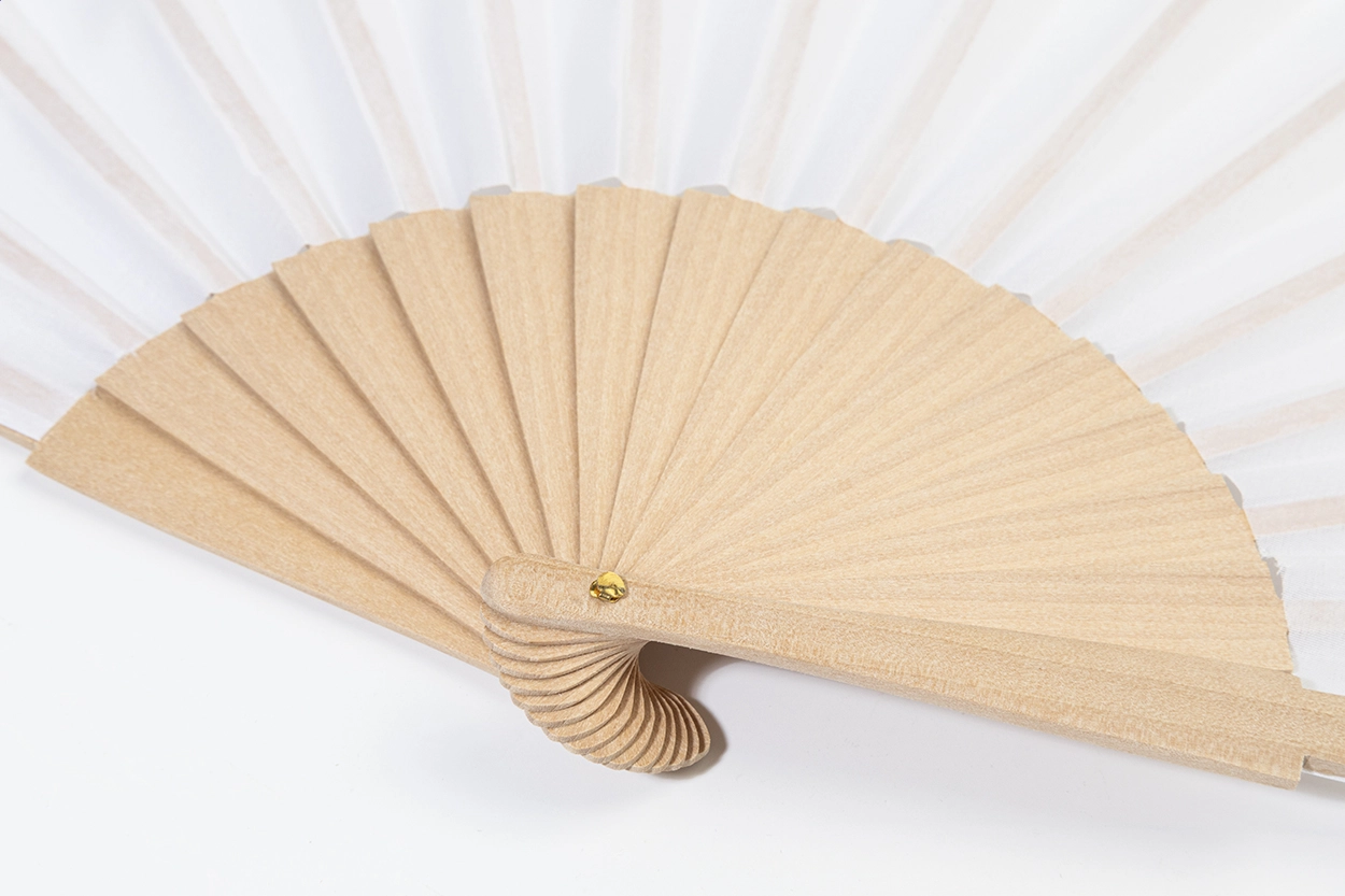 Immagine Solana Ventaglio in RABS