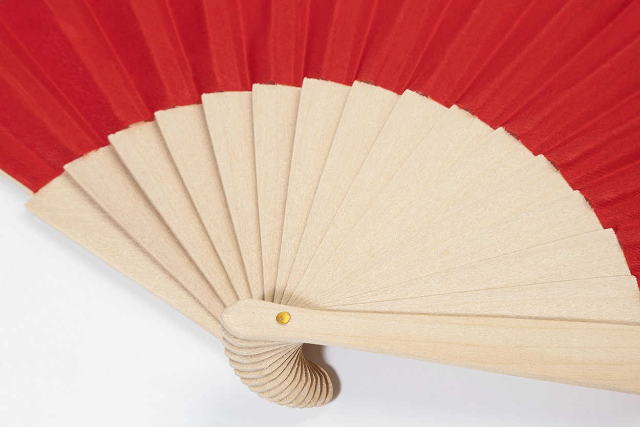 Immagine Solana Ventaglio in RABS