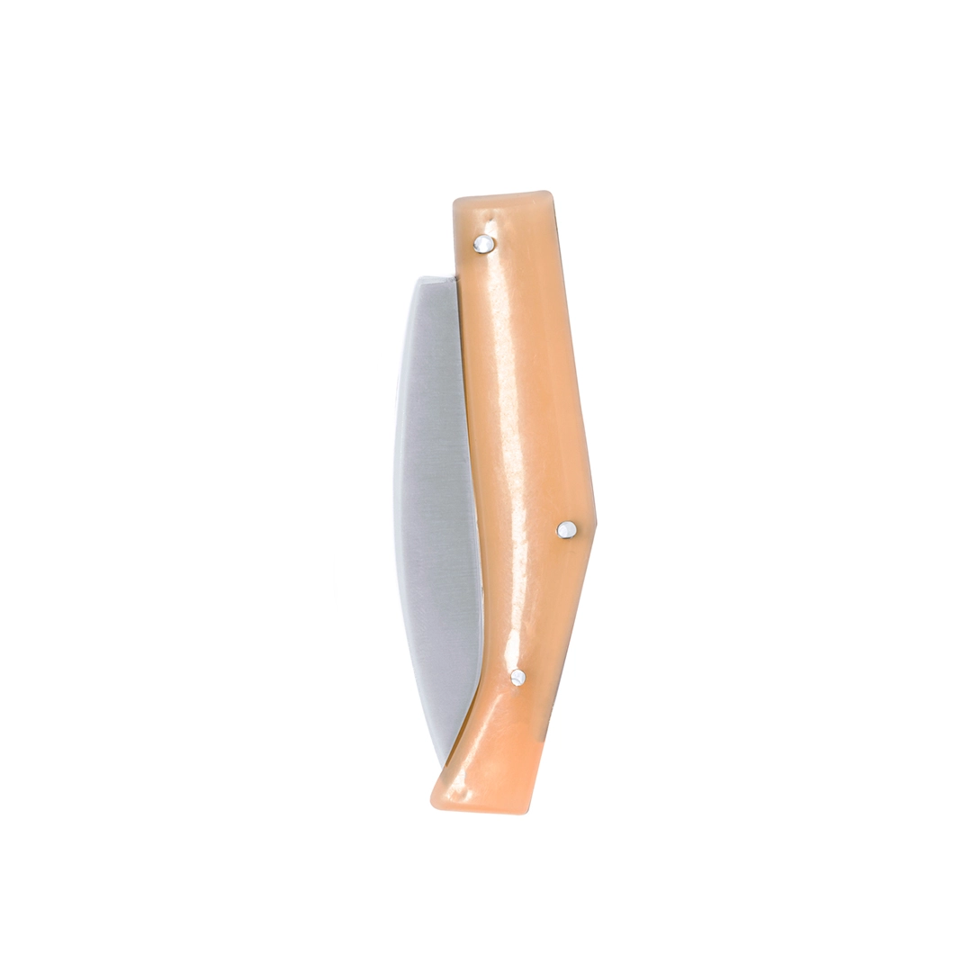 Immagine Coltellino Mulsen