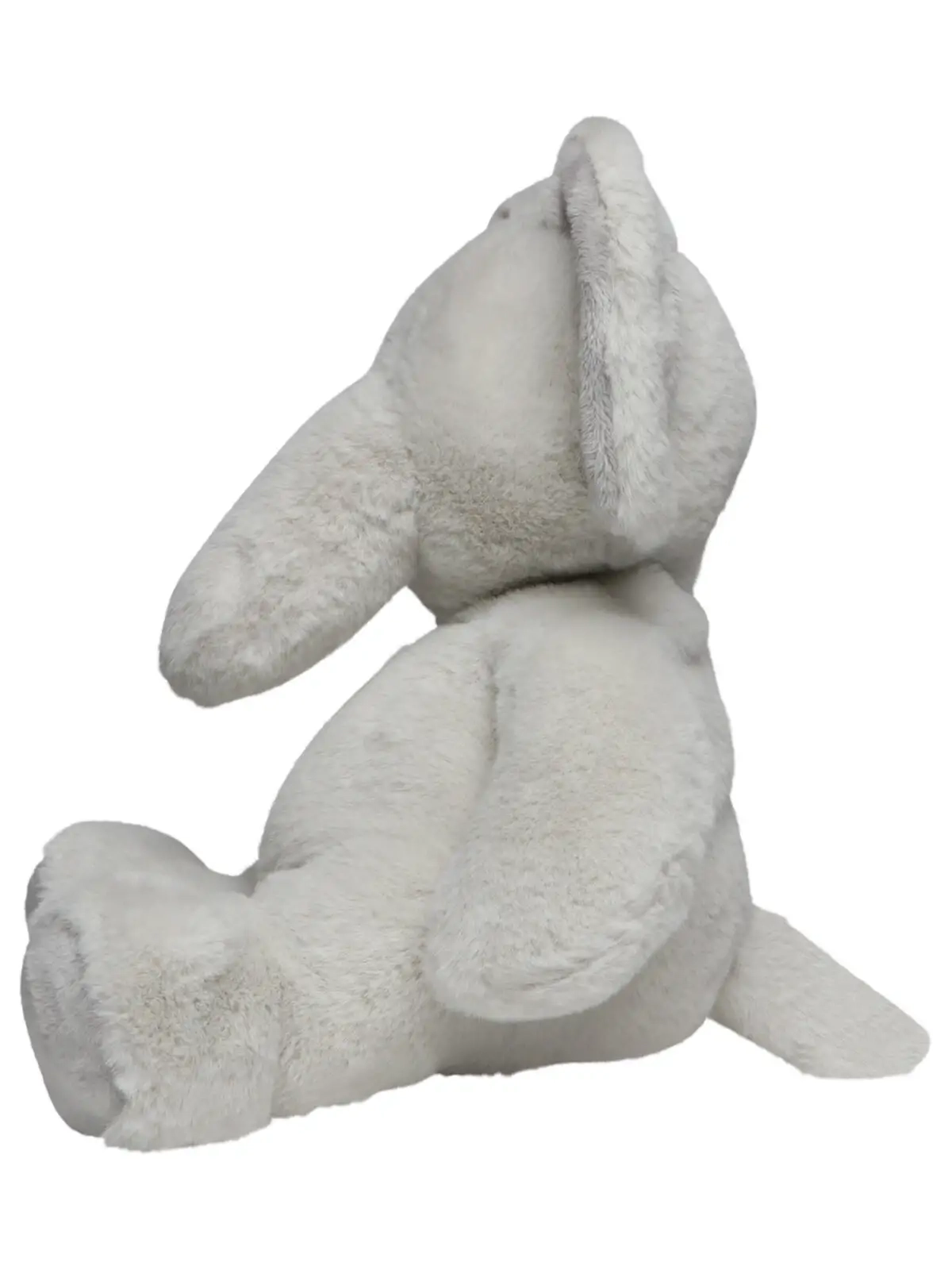 Immagine Elephant Lone