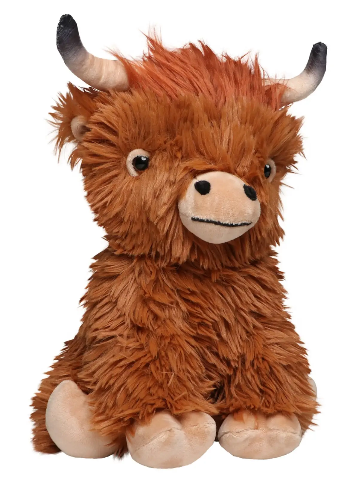 Immagine Scottish Highland Cattle Bobby