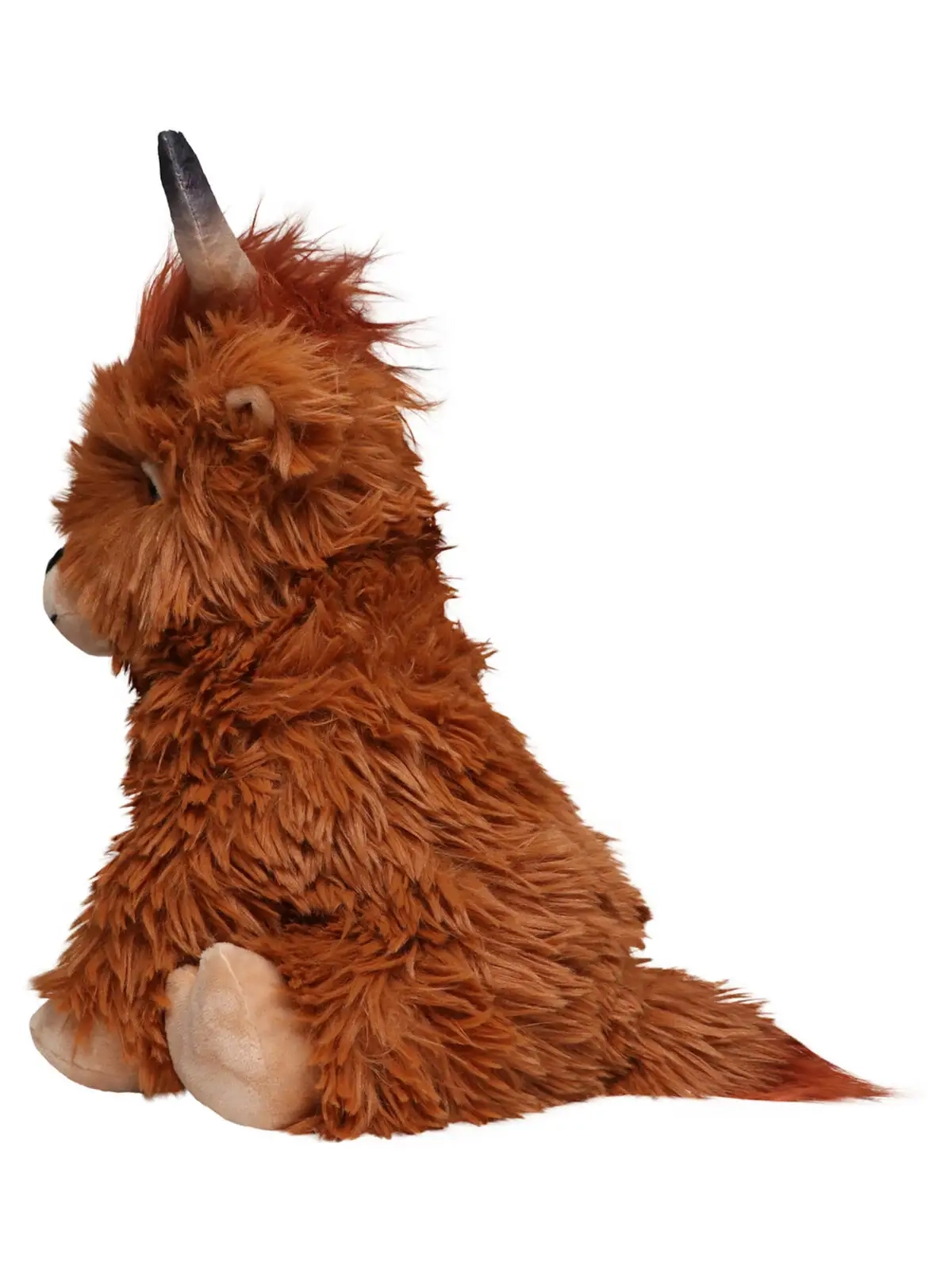 Immagine Scottish Highland Cattle Bobby