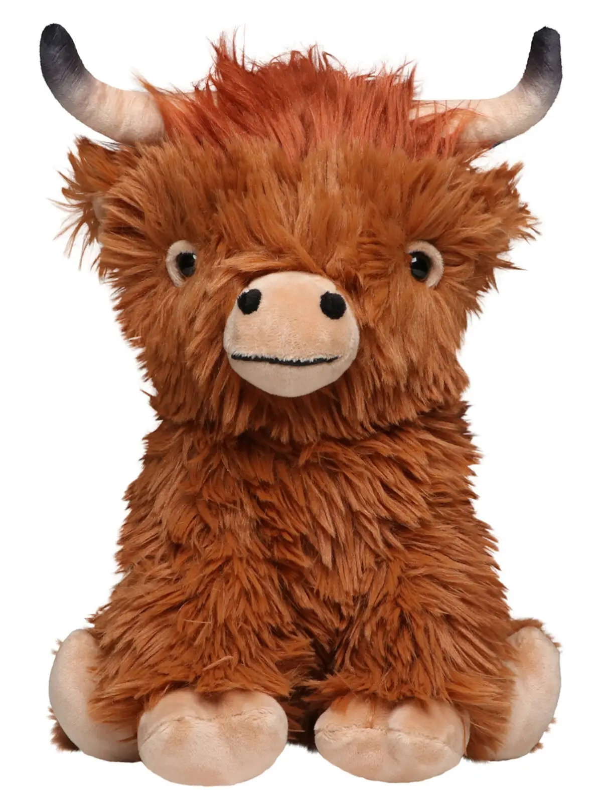 Immagine Scottish Highland Cattle Bobby