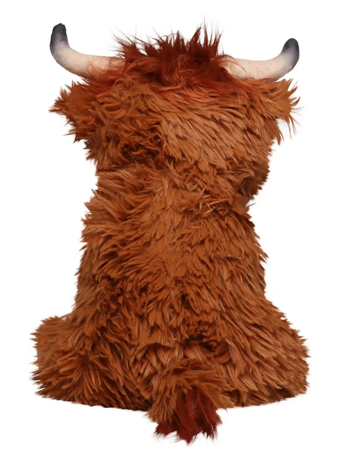 Immagine Scottish Highland Cattle Bobby