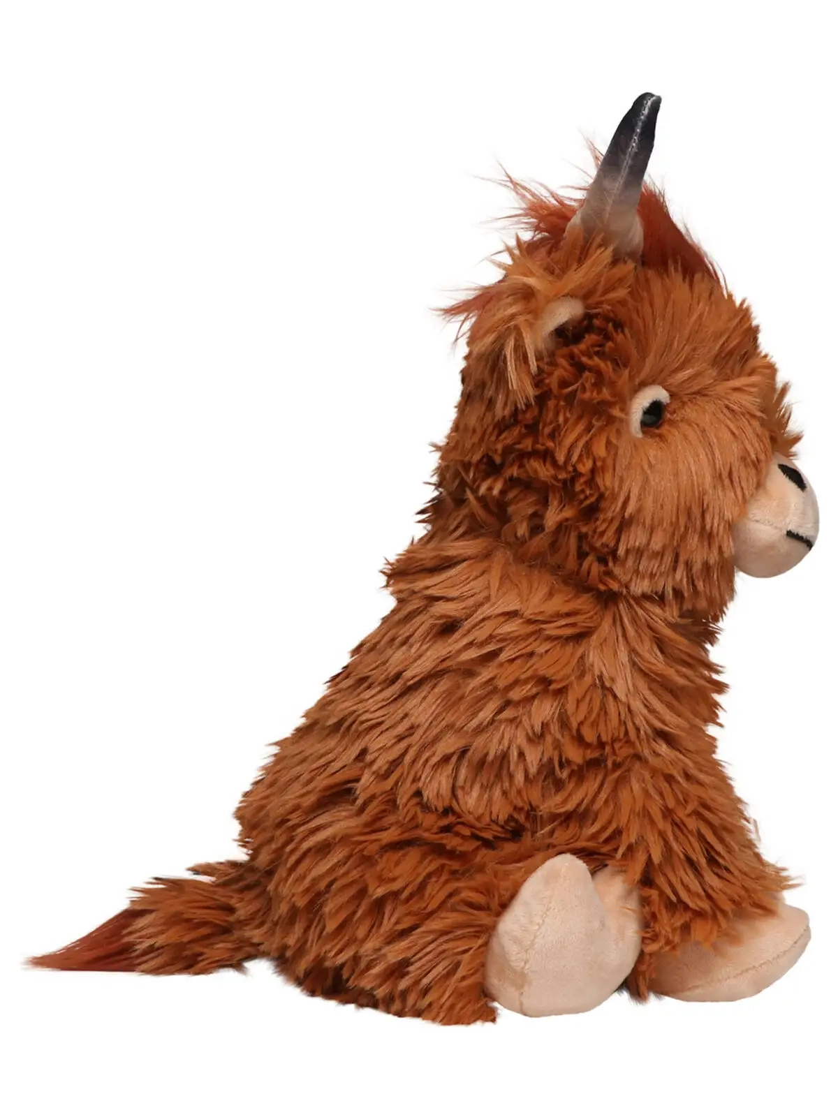 Immagine Scottish Highland Cattle Bobby