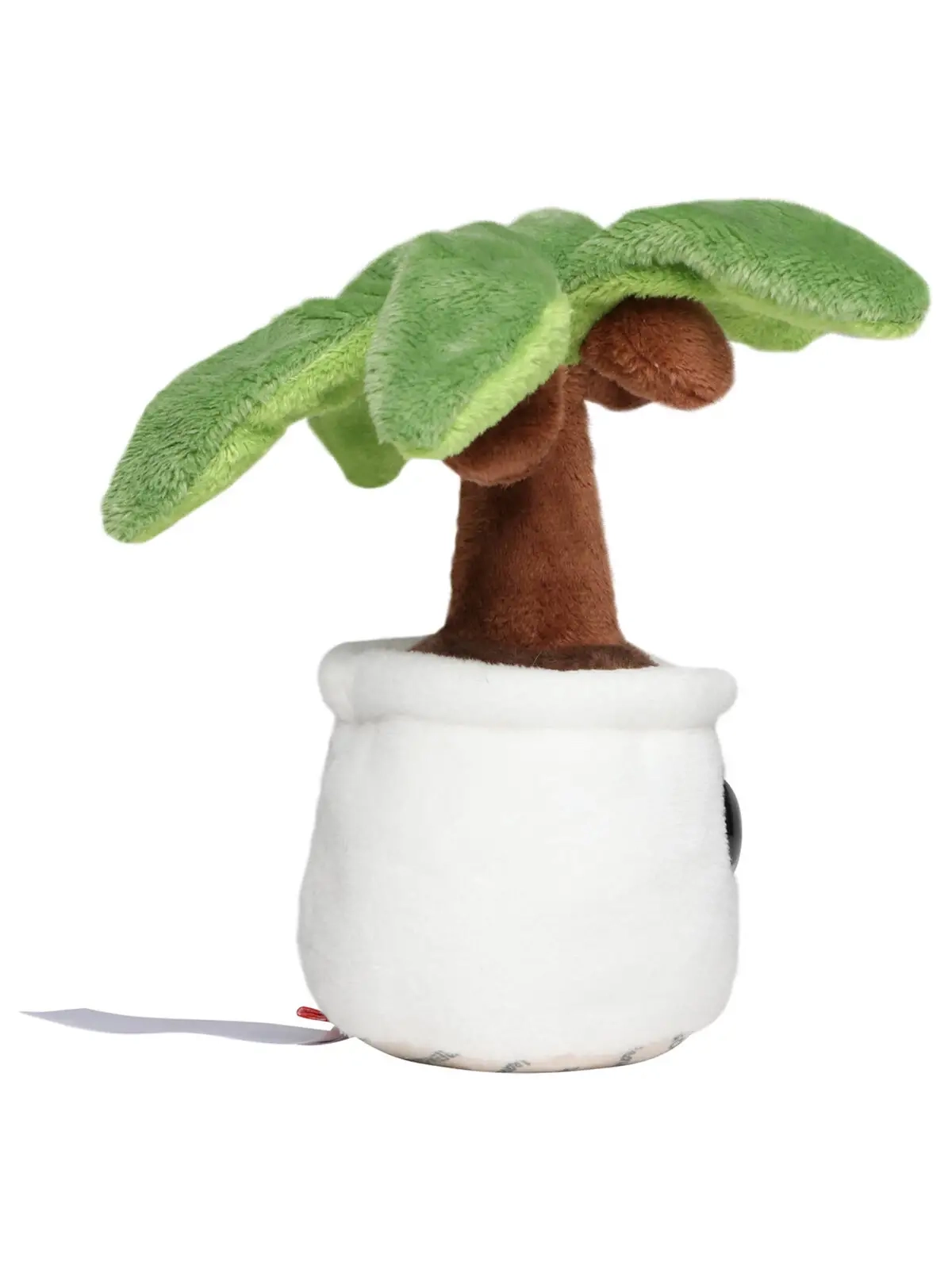 Immagine Schmoozies® Evergreenies® Palm Tree