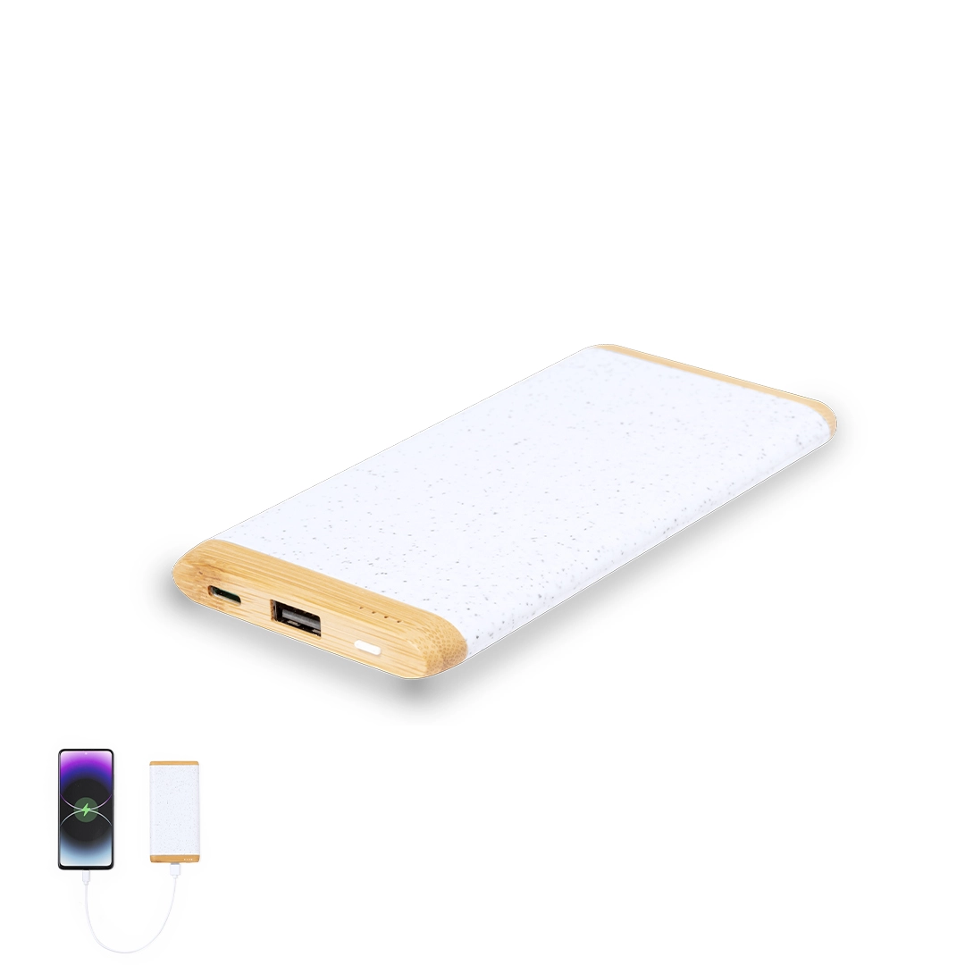 Immagine Power Bank Coquin