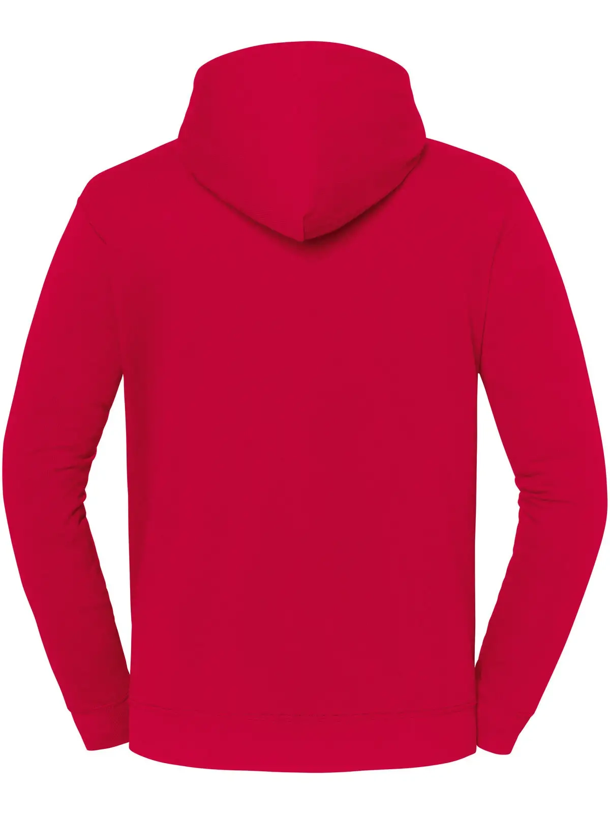 Immagine Iconic 250 Hooded Sweat